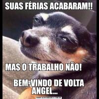 SUAS FÉRIAS ACABARAM!!MAS O TRABALHO NÃO!                                                               
BEM-VINDO DE VOLTA ANGEL...     