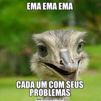 EMA EMA EMACADA UM COM SEUS PROBLEMAS