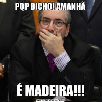 PQP BICHO! AMANHÃÉ MADEIRA!!!