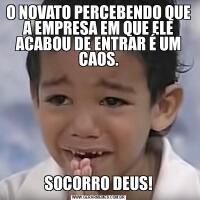 O NOVATO PERCEBENDO QUE A EMPRESA EM QUE ELE ACABOU DE ENTRAR É UM CAOS.SOCORRO DEUS!