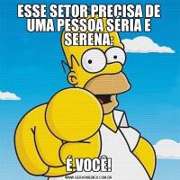 ESSE SETOR PRECISA DE UMA PESSOA SÉRIA E SERENA:É VOCÊ!