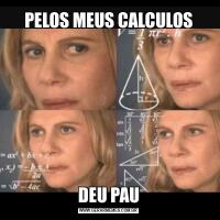 PELOS MEUS CALCULOSDEU PAU