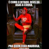 É COMO O DITADO: DEUS DÁ ASAS A COBRA,PRA QUEM CEDO MADRUGA.