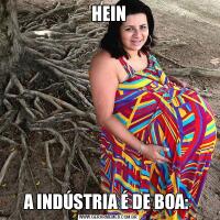 HEINA INDÚSTRIA É DE BOA: 