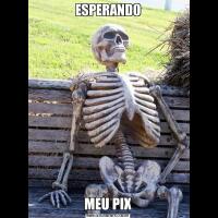 ESPERANDOMEU PIX