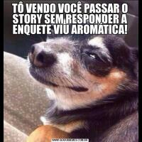 TÔ VENDO VOCÊ PASSAR O STORY SEM RESPONDER A ENQUETE VIU AROMÁTICA!