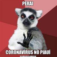 PERAI CORONAVÍRUS NO PIAUÍ