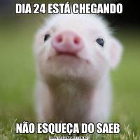 DIA 24 ESTÁ CHEGANDONÃO ESQUEÇA DO SAEB 