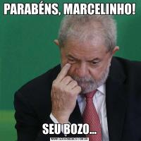 PARABÉNS, MARCELINHO!SEU BOZO...