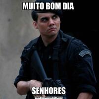 MUITO BOM DIA SENHORES