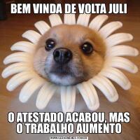 BEM VINDA DE VOLTA JULIO ATESTADO ACABOU, MAS O TRABALHO AUMENTO