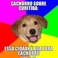 CACHORRO SOBRE CURITIBA:ESSA CIDADE É BOA PARA CACHORRO