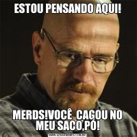 ESTOU PENSANDO AQUI!MERDS!VOCÊ  CAGOU NO MEU SACO,PÓ!