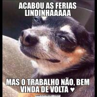 ACABOU AS FERIAS LINDINHAAAAAMAS O TRABALHO NÃO, BEM VINDA DE VOLTA ♥