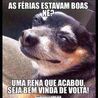 AS FÉRIAS ESTAVAM BOAS NÉ?UMA PENA QUE ACABOU, SEJA BEM VINDA DE VOLTA!