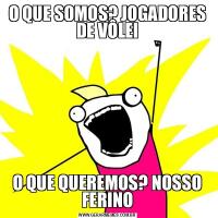 O QUE SOMOS? JOGADORES DE VÔLEIO QUE QUEREMOS? NOSSO FERINO