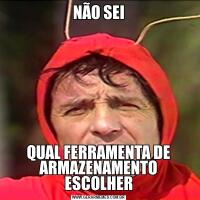 NÃO SEIQUAL FERRAMENTA DE ARMAZENAMENTO ESCOLHER