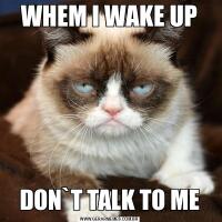 WHEM I WAKE UPDON`T TALK TO ME