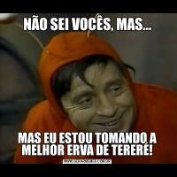 NÃO SEI VOCÊS, MAS...MAS EU ESTOU TOMANDO A MELHOR ERVA DE TERERÉ!