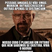 PESSOAS AMADAS SE VÃO: UMAS MORREM, OUTRAS CRESCEM E OUTRAS APENAS SE DISTANCIAM...NOSSO ERRO É PLANEJAR UM FUTURO QUE NEM SABEMOS SE EXISTIRÁ. VIVA O AGORA!