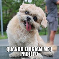 QUANDO ELOGIAM MEU PROJETO