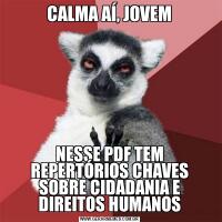 CALMA AÍ, JOVEMNESSE PDF TEM REPERTÓRIOS CHAVES SOBRE CIDADANIA E DIREITOS HUMANOS
