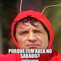 PORQUÊ TEM AULA NO SÁBADO?