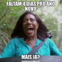FALTAM 4 DIAS PRO ANO NOVOMAIS JÁ?