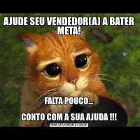AJUDE SEU VENDEDOR(A) A BATER META!FALTA POUCO...

CONTO COM A SUA AJUDA !!!