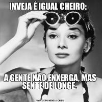 INVEJA É IGUAL CHEIRO:   A GENTE NÃO ENXERGA, MAS SENTE DE LONGE. 
