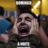 DOMINGOA NOITE