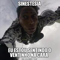 SINESTESIAEU ESTOU SENTINDO O VENTINHO NA CARA 