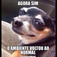 AGORA SIMO AMBIENTE VOLTOU AO NORMAL