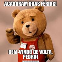 ACABARAM SUAS FÉRIAS!BEM-VINDO DE VOLTA, PEDRO!