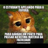 O ESTUDANTE APELANDO PARA A FOFURAPARA GANHAR UM PONTO PARA PASSAR NA ÚLTIMA MATÉRIA DA FACULDADE