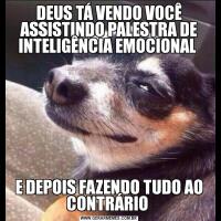 DEUS TÁ VENDO VOCÊ ASSISTINDO PALESTRA DE INTELIGÊNCIA EMOCIONAL E DEPOIS FAZENDO TUDO AO CONTRÁRIO 