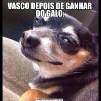 VASCO DEPOIS DE GANHAR DO GALO: