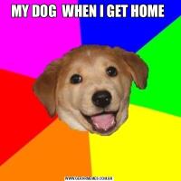 MY DOG  WHEN I GET HOME 
