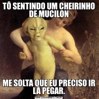 TÔ SENTINDO UM CHEIRINHO DE MUCILONME SOLTA QUE EU PRECISO IR LÁ PEGAR.