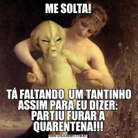 ME SOLTA! TÁ FALTANDO  UM TANTINHO ASSIM PARA EU DIZER: PARTIU FURAR A QUARENTENA!!!
