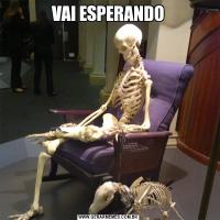 VAI ESPERANDO