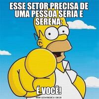 ESSE SETOR PRECISA DE UMA PESSOA SERIA E SERENA:É VOCÊ!