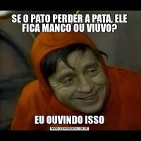 SE O PATO PERDER A PATA, ELE FICA MANCO OU VIÚVO?EU OUVINDO ISSO
