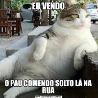 EU VENDOO PAU COMENDO SOLTO LÁ NA RUA