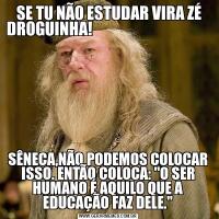  SE TU NÃO ESTUDAR VIRA ZÉ DROGUINHA!                                           SÊNECA,NÃO PODEMOS COLOCAR ISSO. ENTÃO COLOCA: "O SER HUMANO É AQUILO QUE A EDUCAÇÃO FAZ DELE."