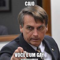 CAIOVOCÊ É UM GAY