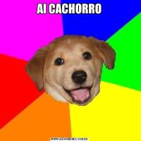 AI CACHORRO