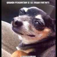 QUANDO PERGUNTAM SE SEI JOGAR FORTNITE