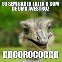 EU SEM SABER FAZER O SOM DE UMA AVESTRUZCOCOROCOCCO