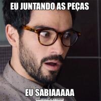 EU JUNTANDO AS PEÇASEU SABIAAAAA